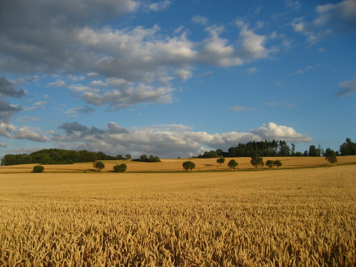 Spätsommer